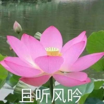 人民网三评“振兴中国男足”之三：改革要深入，不止步！